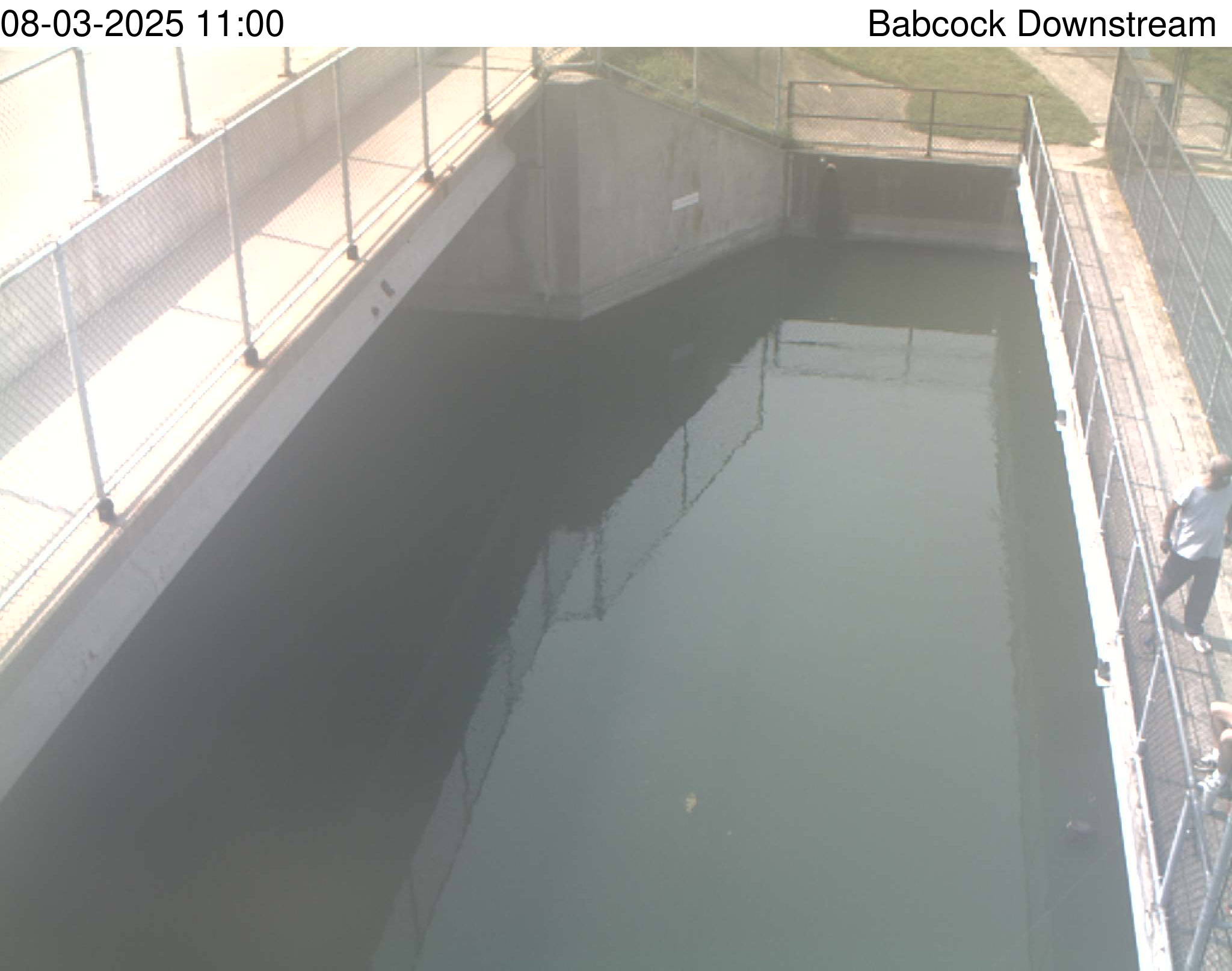 babcock webcam
