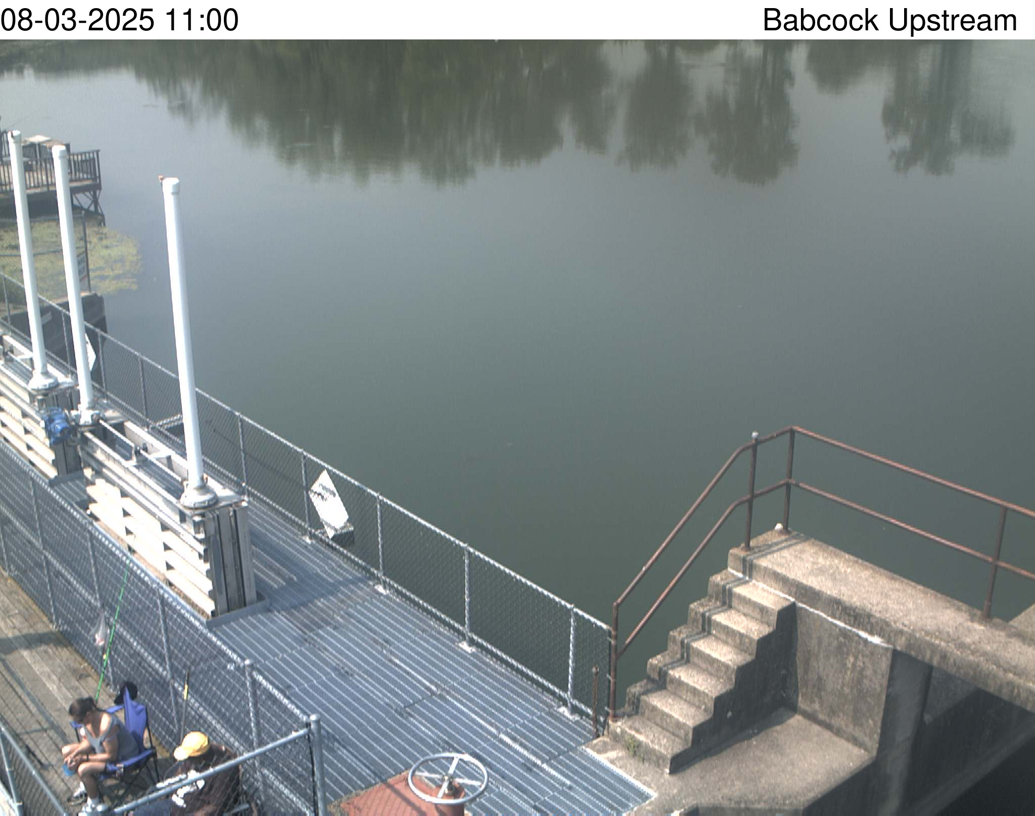 babcock webcam